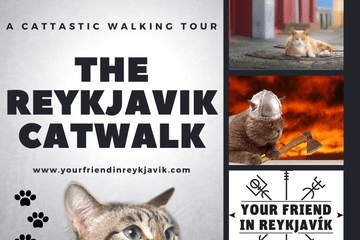 Private Combo Reykjavik Folklore & CatWalk