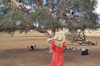 Marrakech to Essaouira Mogador: A Scenic Day Tour 5