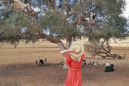 Marrakech to Essaouira Mogador: A Scenic Day Tour