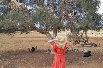 Marrakech to Essaouira Day Trip with Cultural Highlights