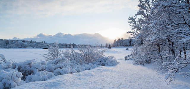Reykjavík Christmas Walk