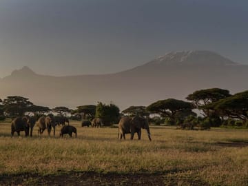 Kilimanjaro & Serengeti Adventure