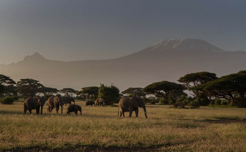 Kilimanjaro & Serengeti Adventure
