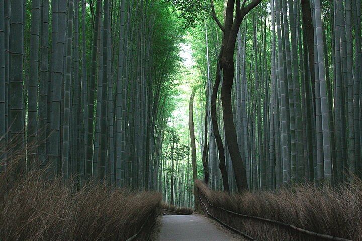 Kyoto Culinary Tour with a Chef!