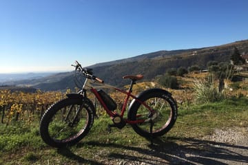 E-bike Tour and Amarone Wine Tasting in Marano di Valpolicella
