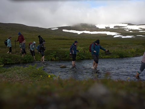 A Day's hike in the Nature Reserve - Hornstrandir Hike (Aðalvík -  Hesteyri), photo 3