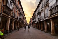 Alcalá de Henares and Cervantes from Madrid 4