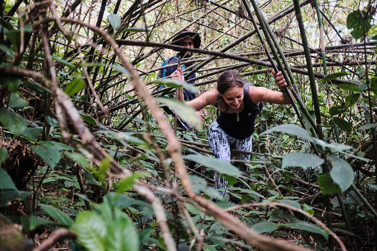 Trekking Adventure in Sri Lanka’s Stunning Knuckles Mountain Range