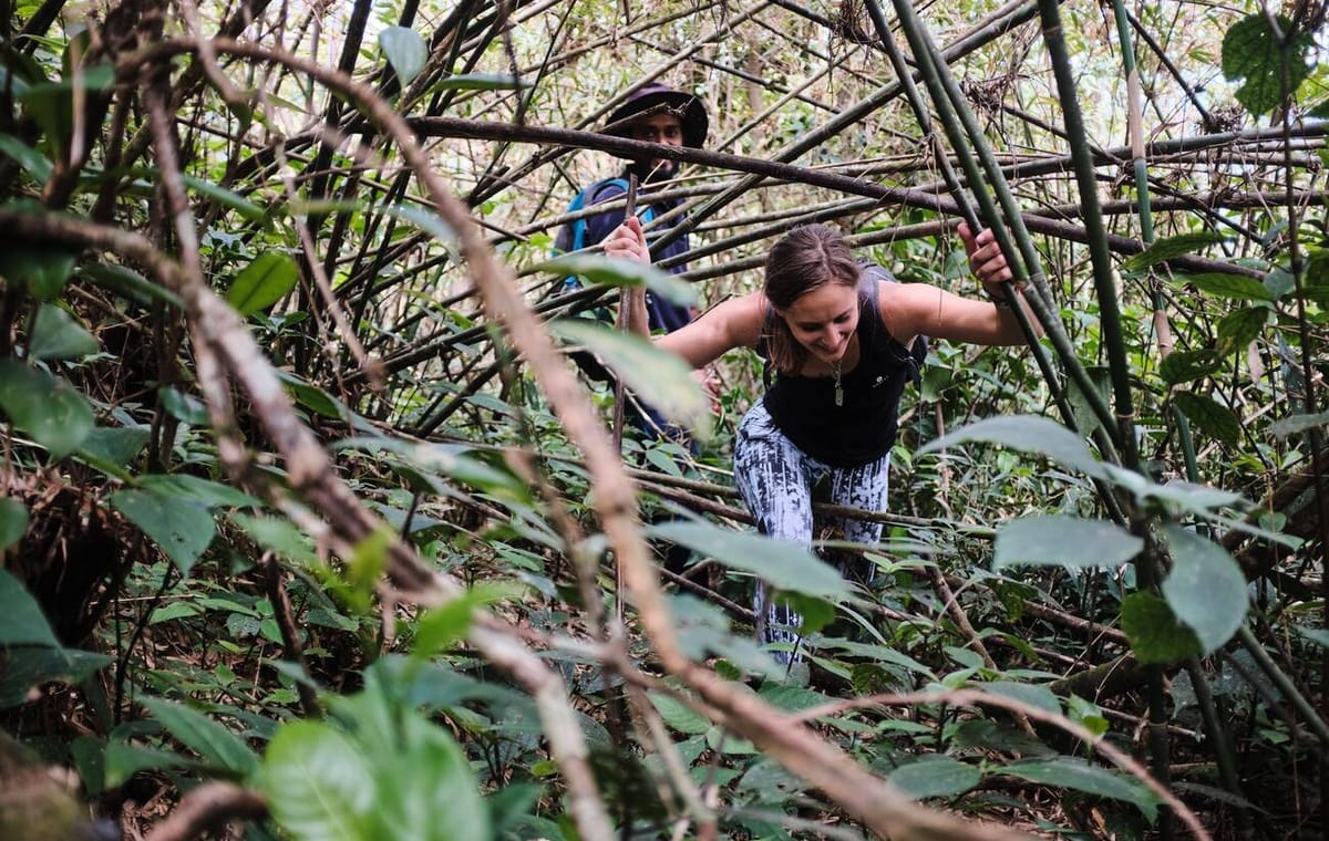 Trekking to Knuckles Range
