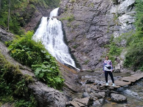 Vladeasa Peak and Bride's Waterfall Day Hike