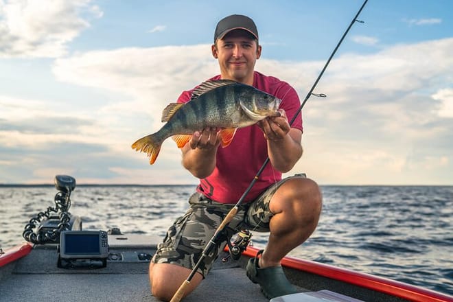 Full-Day Fishing Experience with Barbecue in Santos – Pick-up in Santos