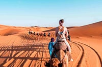 4-Day Private Desert Tour from Fes To Marrakech 10