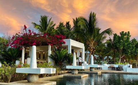 Pemba in Bloom: 5 Days of Pure Bliss on Zanzibar’s Hidden Green Paradise