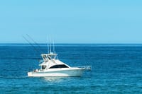 Alanya: Half-Day Private Fishing Experience 7