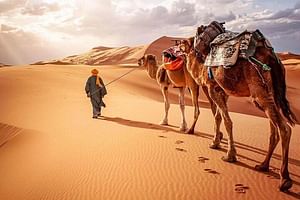 Morocco Desert Tour Private 4-Days from Marrakech to Merzouga