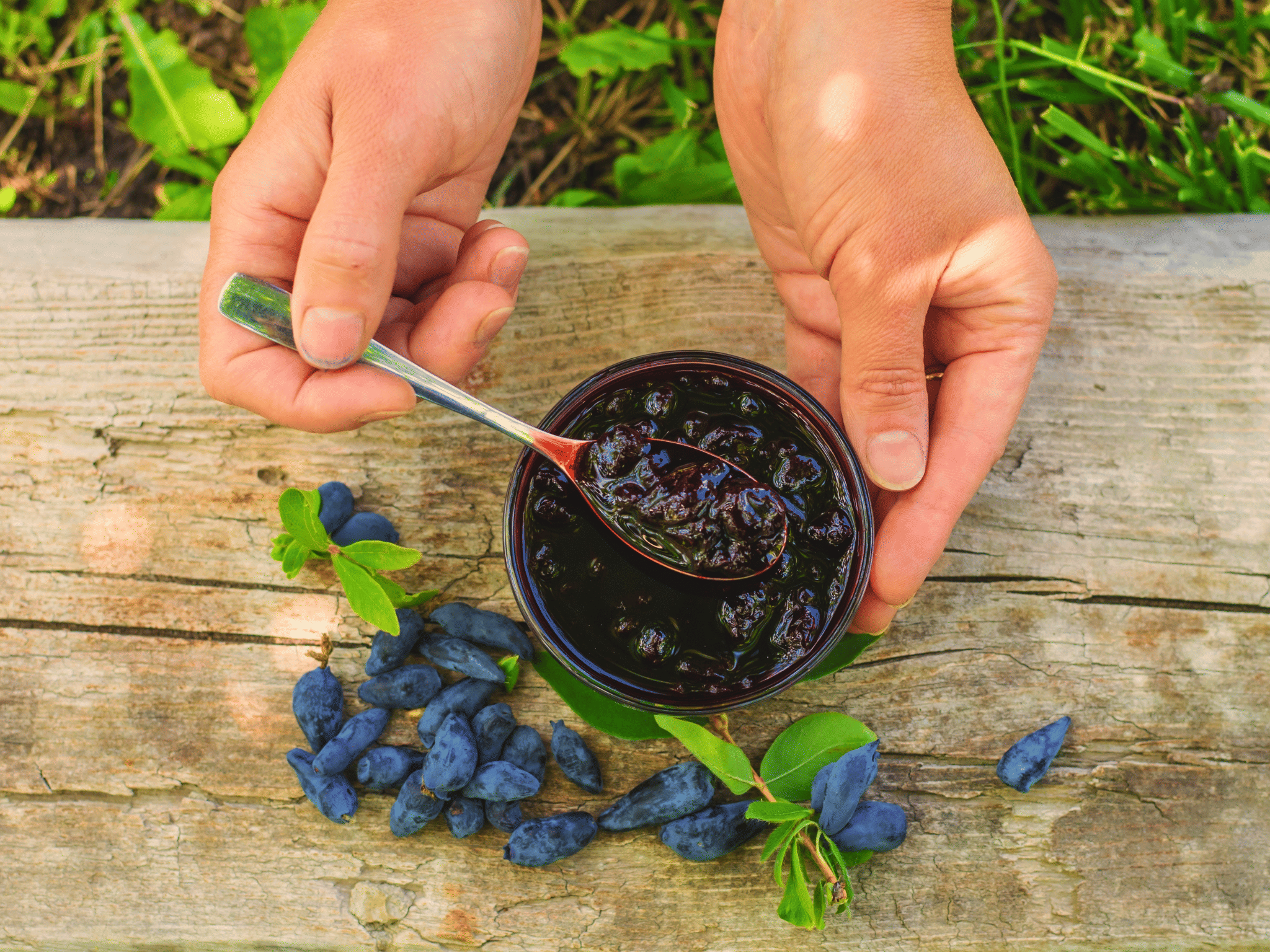 Blueberry Picking & Homemade Jam Experience in Lapland