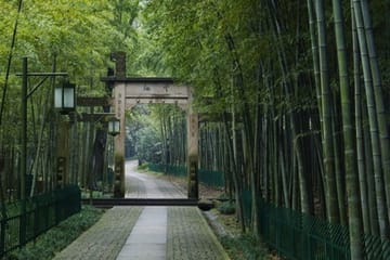 West Lake Scenic Cruise and Key Attractions Tour in Hangzhou