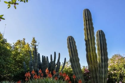 Private Anima Garden & Andre Heller Art and Ourika valley Lunch