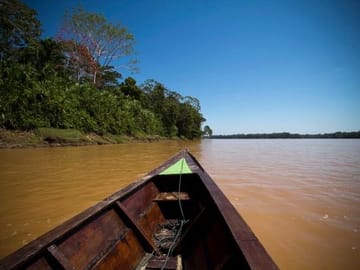 3-Day Amazon from Puerto Maldonado with Eco Lodge Accommodation