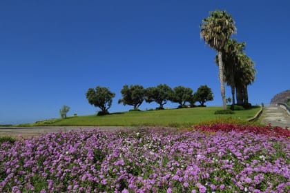 Cabo Girão & mountains 4×4 tour