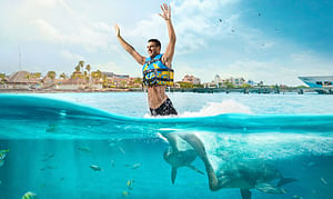 Dolphin Royal Swim VIP in Isla Mujeres
