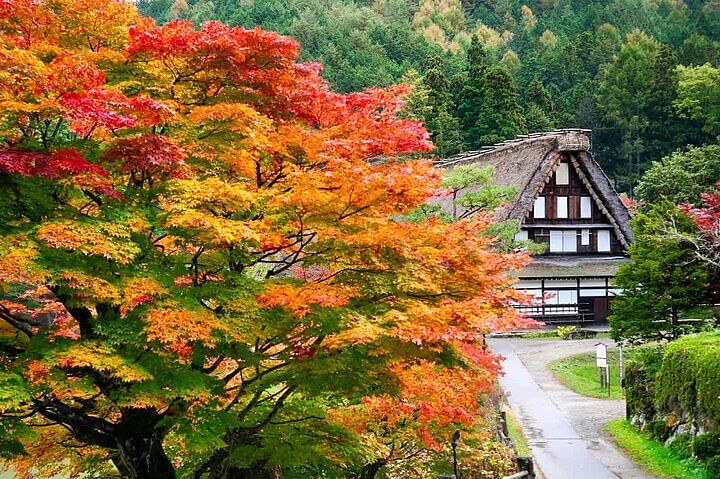 Hida Folk Village Museum Passes in Takayama Japan