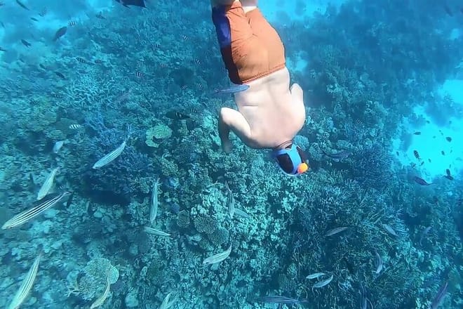 Enjoy a 2 Hours Semi Submarine &amp; Snorkeling Trip - Marsa Alam