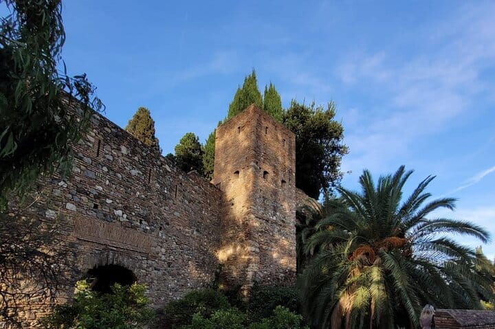 Private Transfer From Sorrento to Naples  8