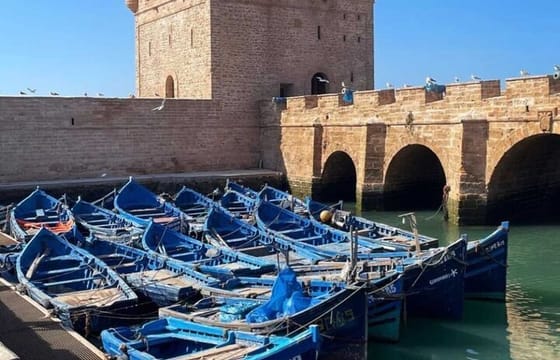 Marrakech to Essaouira / Small group day tour To Essaouira