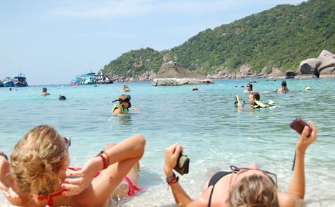 Speedboat Day Trip to Koh Tao and Koh Nangyuan from Ko Samui