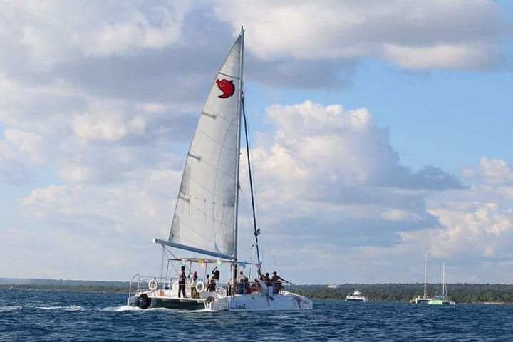 5 tours in 1 (Eco Farm/Horseback/City Tour/Buggy/Zipline)