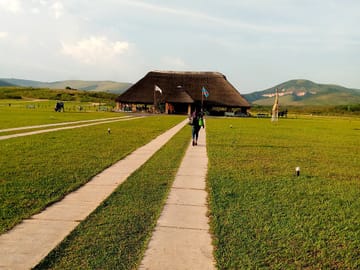 Bombo Lumene Natural Reserve Safari and Congo River Adventure