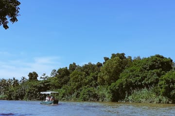 Muthurajawela Sanctuary Boat Safari with Bird Watching