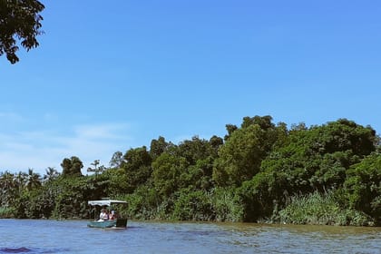Muthurajawela Sanctuary Boat Safari with Bird Watching