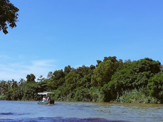 Muthurajawela Sanctuary Boat Safari with Bird Watching 5
