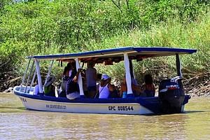 Palo Verde Boat Expedition & Cultural Tour With Lunch