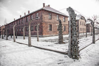 Auschwitz-Birkenau Memorial and Wieliczka Salt Mine 1 Day Guided Tour 4