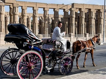 Horse Carriage Ride Tour Along Luxor's Scenic Nile Corniche