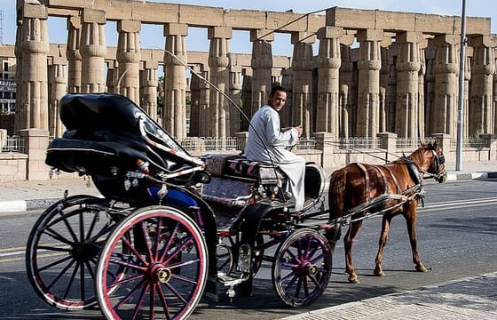 Luxor City Tour by Horse Carriage: Explore the Nile Corniche
