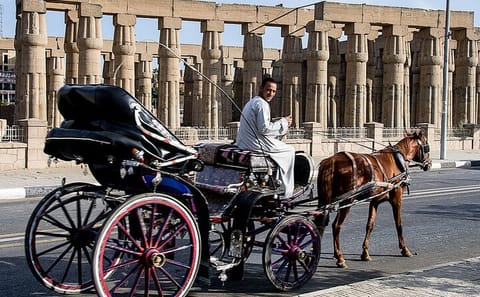 Horse Carriage Ride Tour Along Luxor's Scenic Nile Corniche