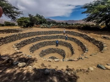 Naz-05 : Pampas National Reserve – Vicuña Lama Sanctuary