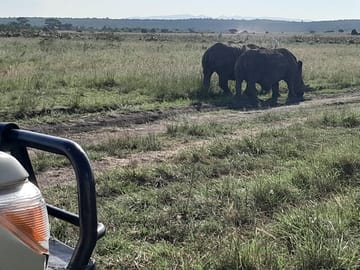 Nairobi National Park Giraffe Center Carnivore Lunch
