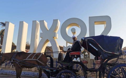 Horse Carriage Tour of Scenic Aswan, Egypt