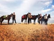 Premium 1 Hour Elite Desert Horseback Riding Adventure - Hurghada 8
