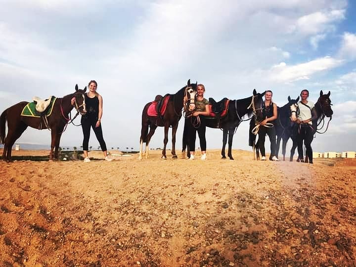 Premium 1 Hour Elite Desert Horseback Riding Adventure - Hurghada 8