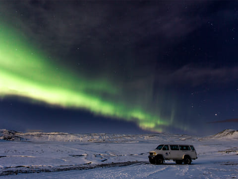 Whale Watching and Northern Lights from Reykjavík, photo 5