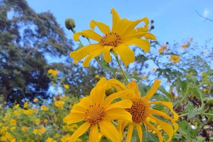 Chiang mai Suthep National Park Leisure Hiking & Mountain Biking