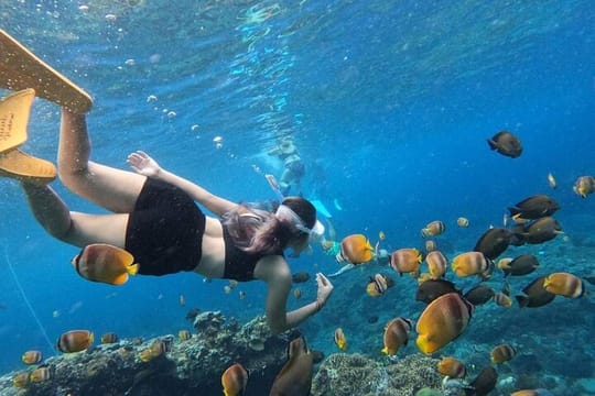 Bali Snorkeling at Blue Lagoon Beach with All-Inclusive Tour