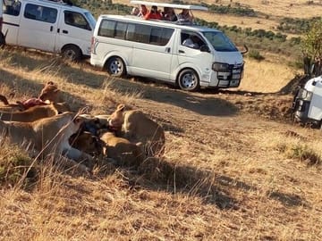 4-Day Shared Budget Safari in Masai Mara from Nairobi