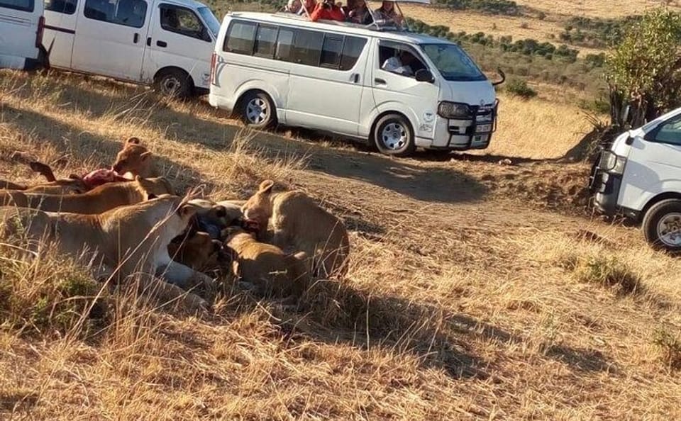 4-Day Shared Budget Safari in Masai Mara from Nairobi